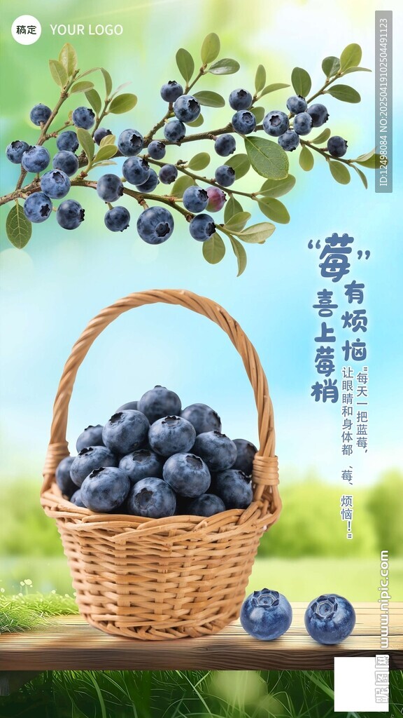 藍莓海報