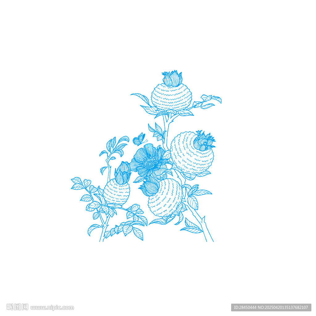 刺梨