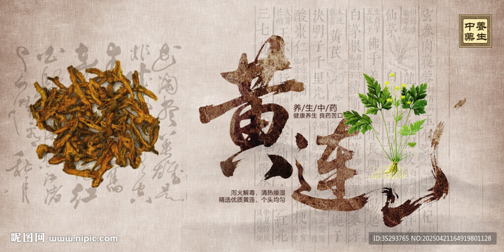 黃連