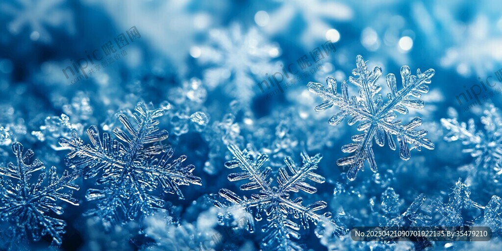 夢幻藍色雪花微觀景致