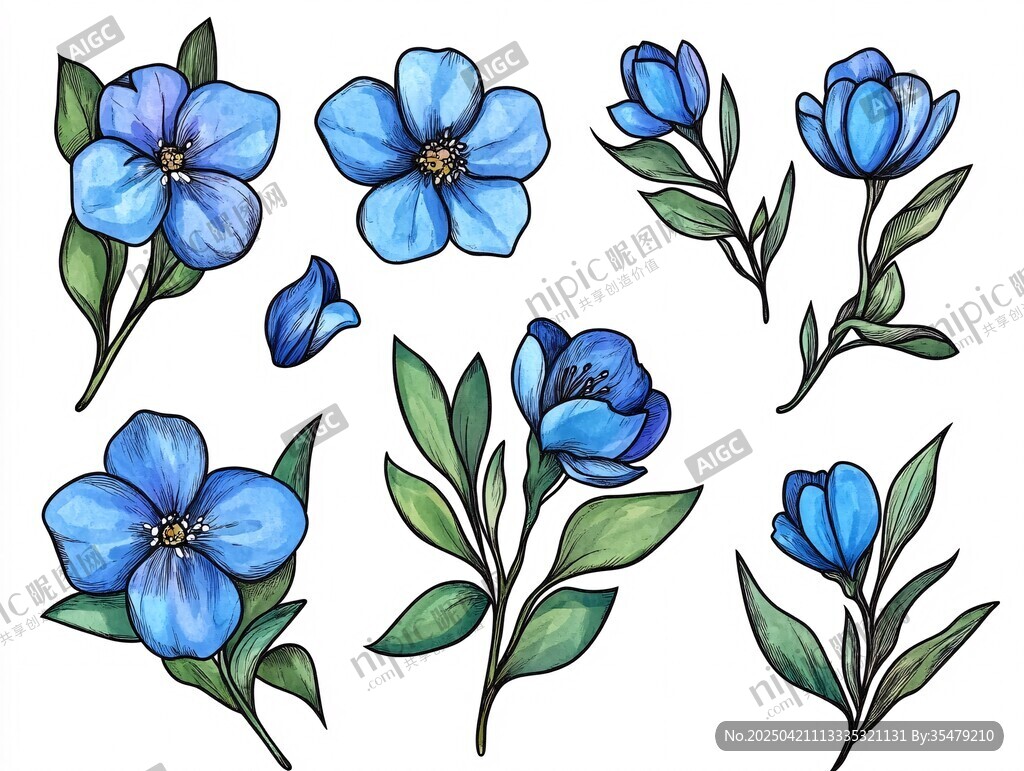 藍(lán)色花卉插畫素材集合
