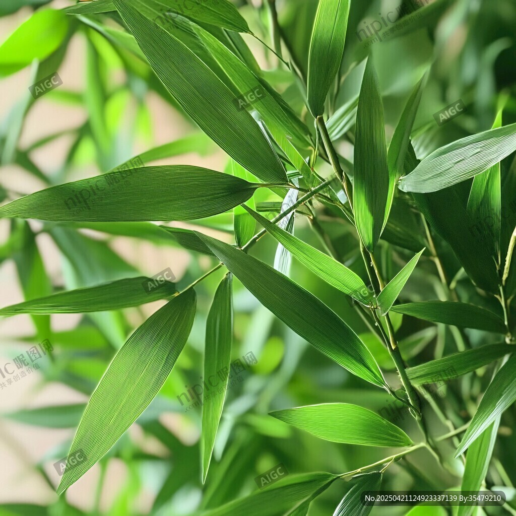 翠綠竹葉特寫