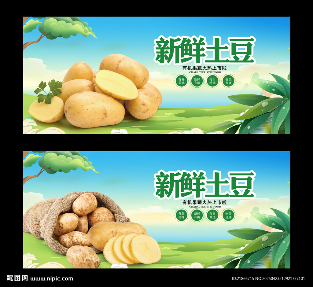 土豆