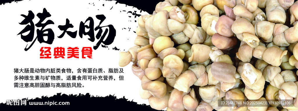 豬大腸