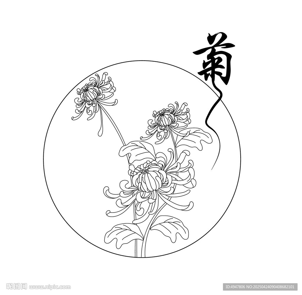 菊 矢量圖