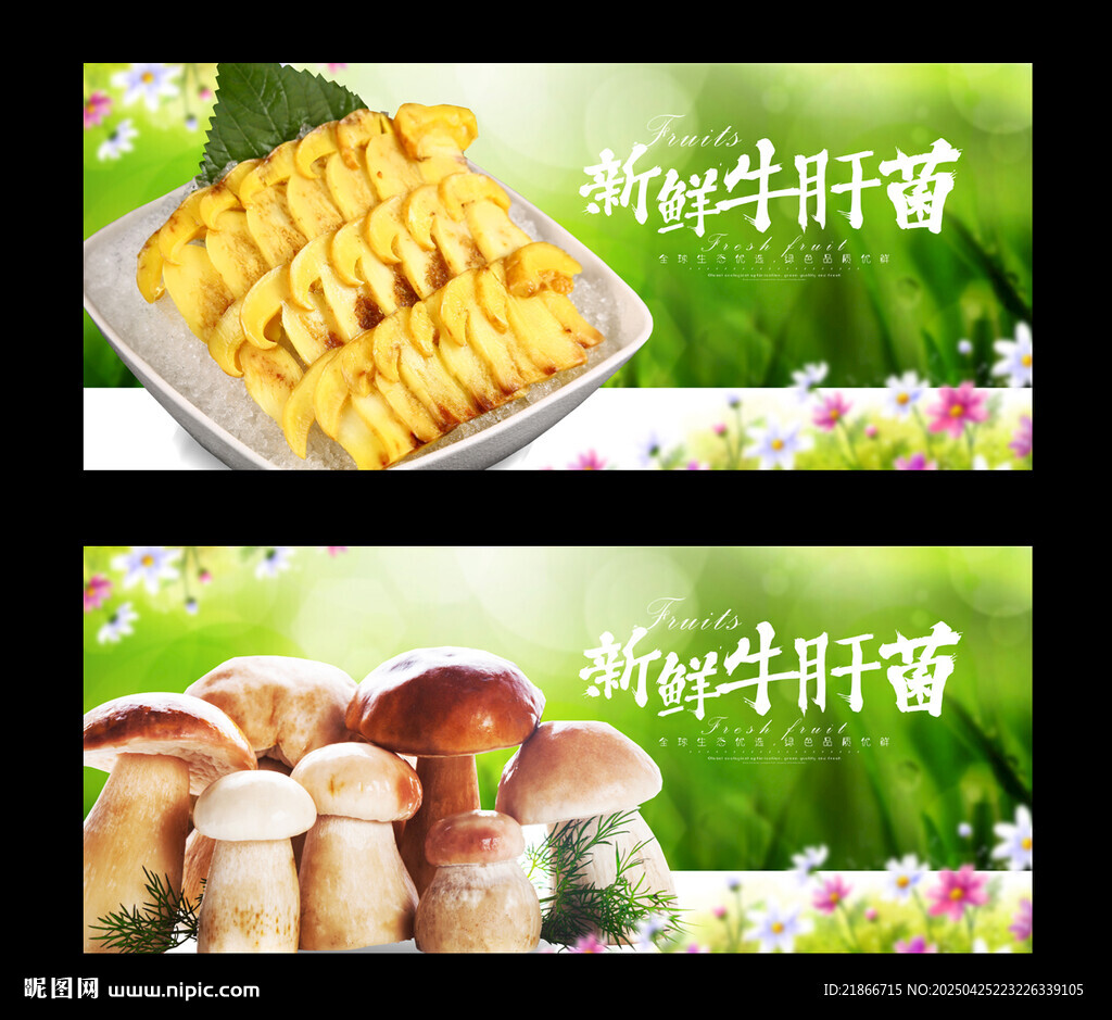 牛肝菌
