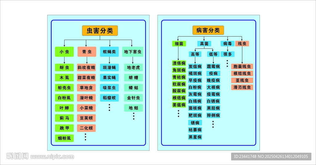 蟲(chóng)害分類病害分類