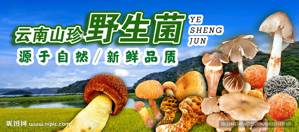野生菌廣告  