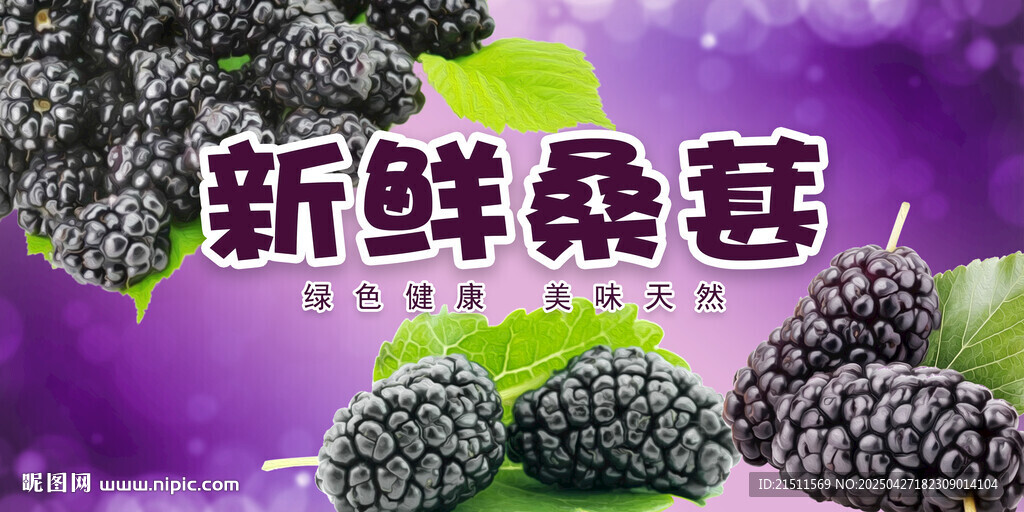 桑葚