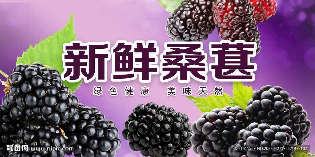 桑葚