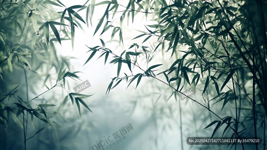 晨霧中的清幽竹林