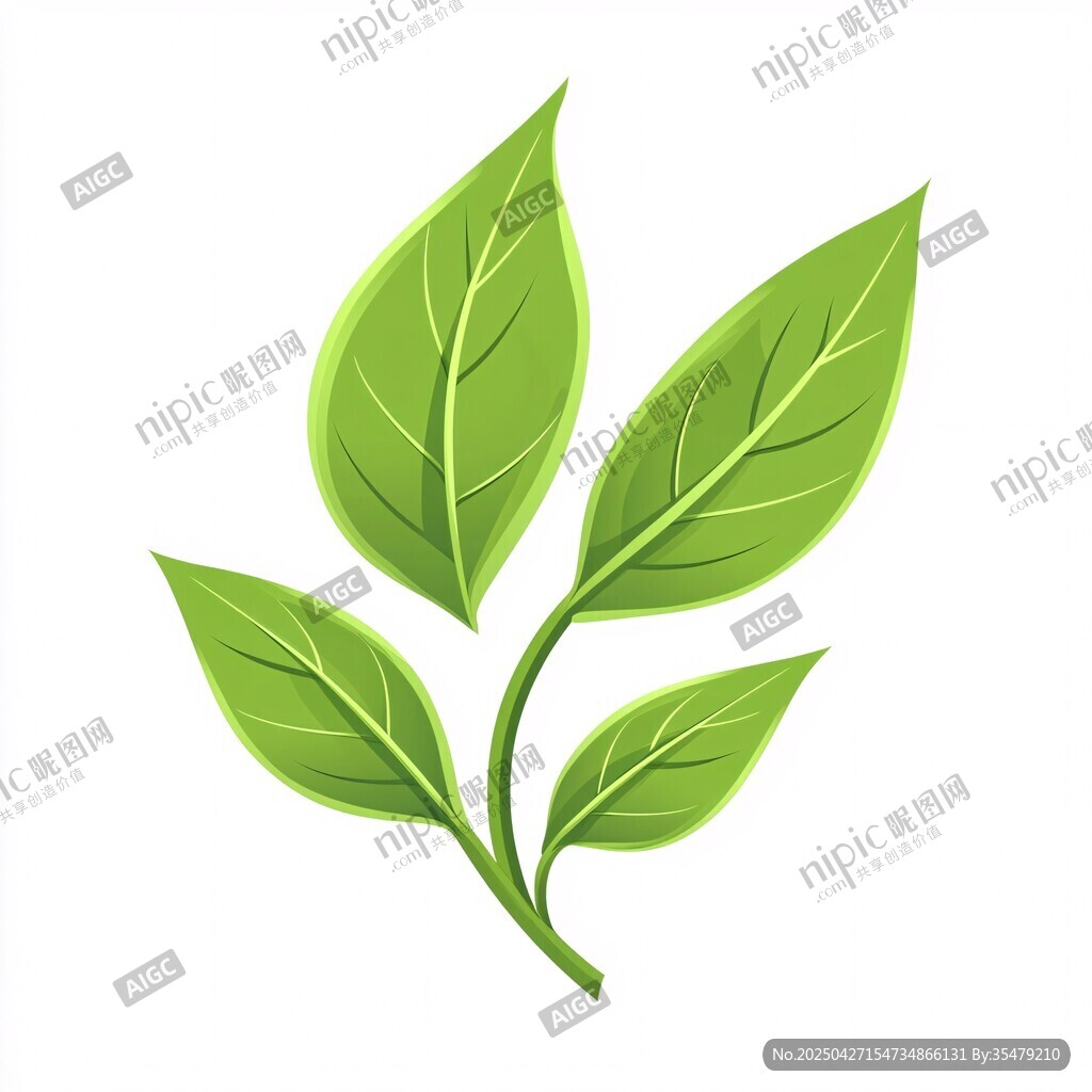 清新綠葉植物插畫