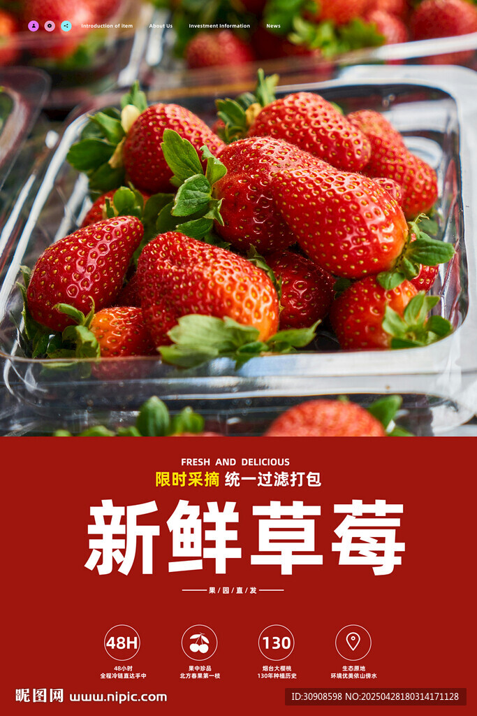 草莓