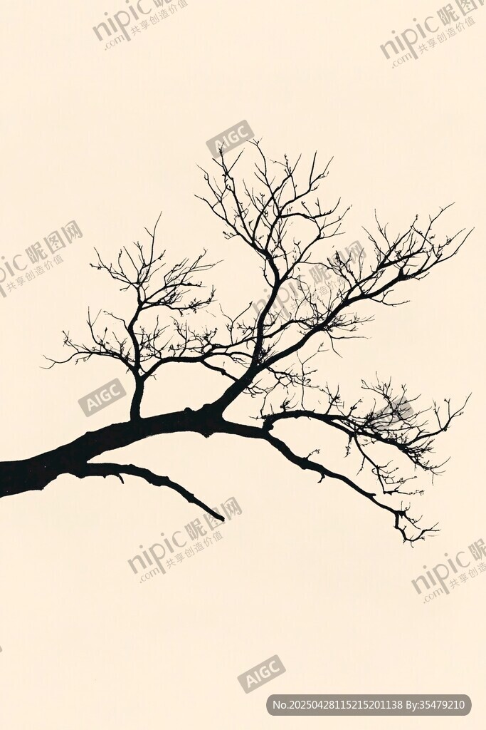 枯樹枝剪影