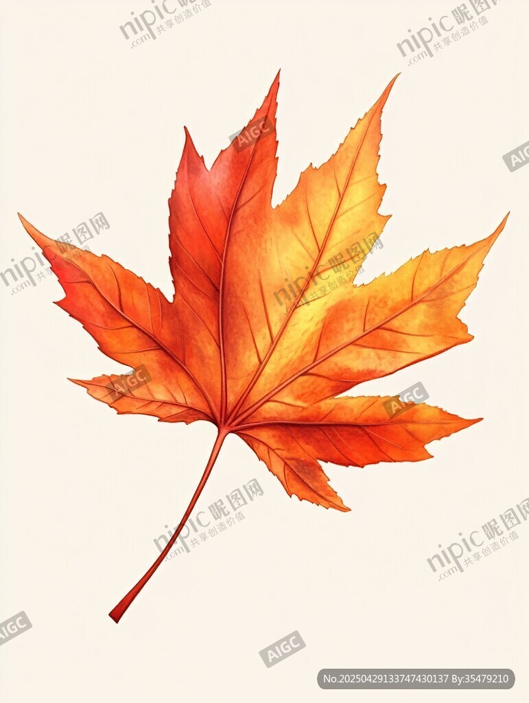 橙紅楓葉水彩畫