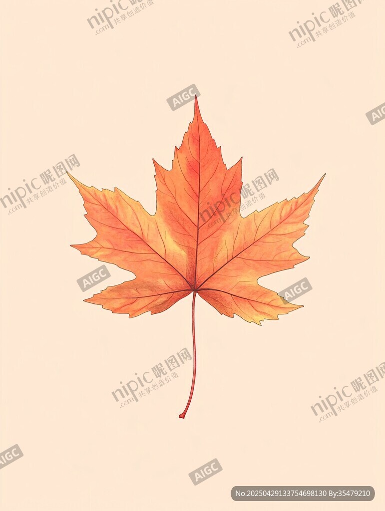 橙黃楓葉的秋日之美