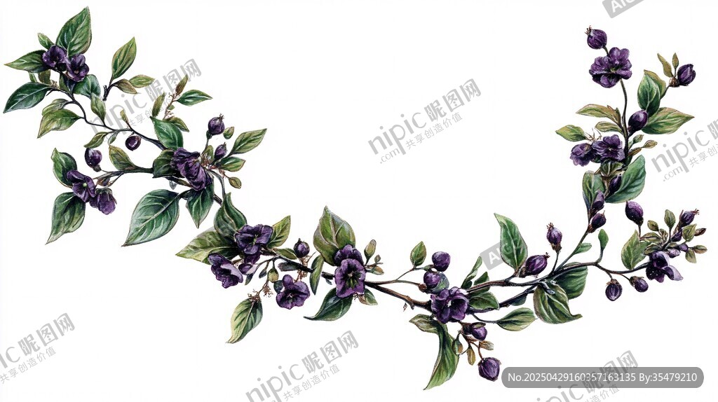 紫色花卉枝葉裝飾圖案