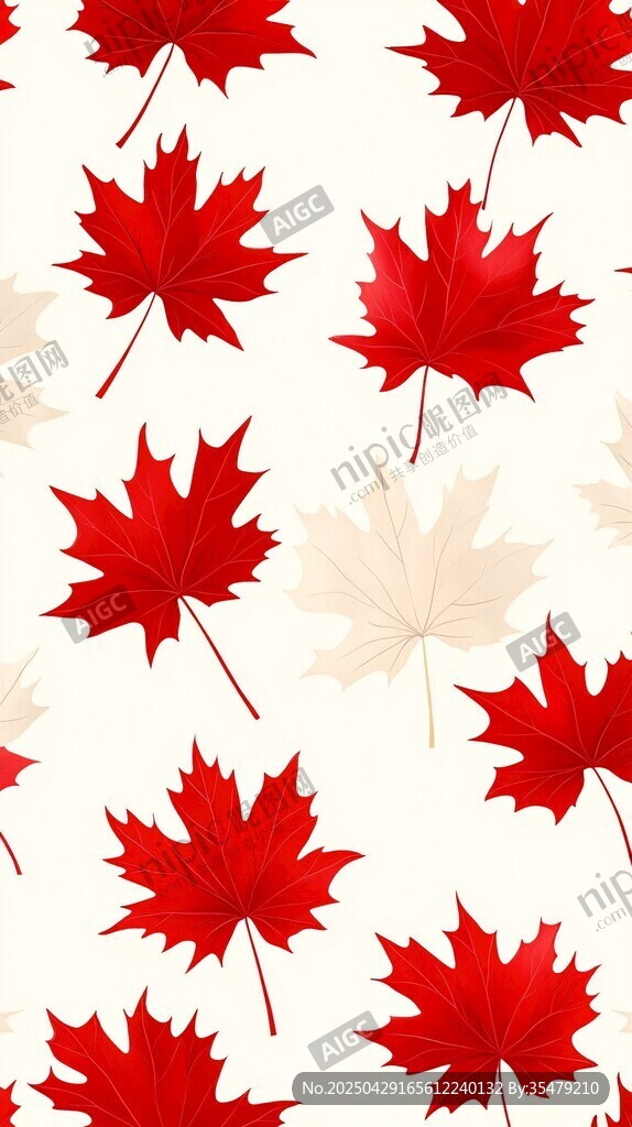 楓葉圖案背景 紅白相間