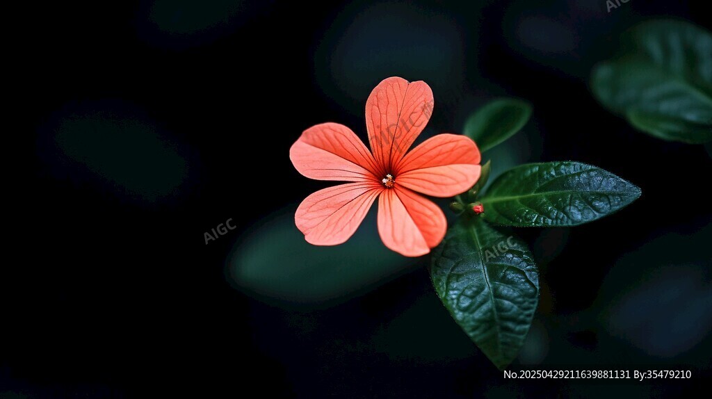 橙花綠葉特寫