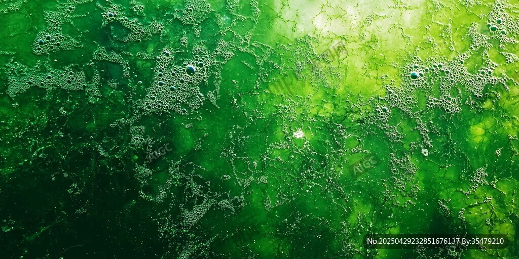 翠綠水面的夢幻氣泡景象