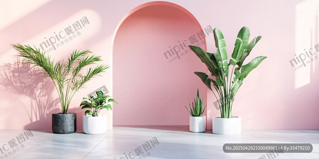 粉色空間中的綠植組合