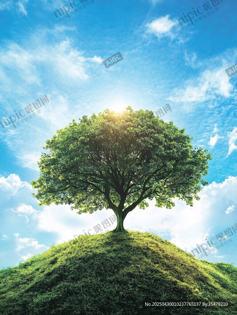 山丘上的孤樹與藍天白云