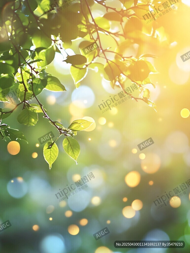 陽光透過綠葉的夢幻景致