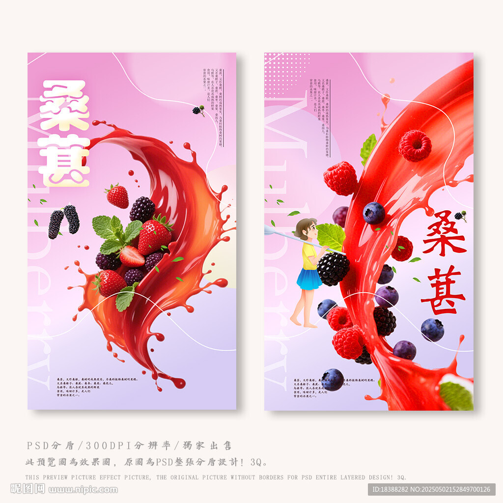 桑葚