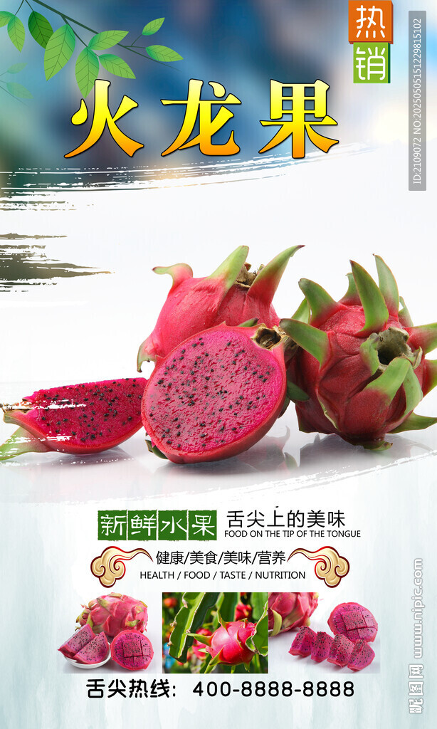 火龍果 