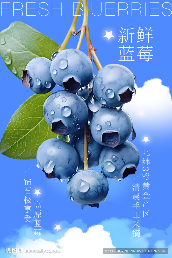 藍莓