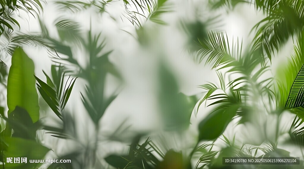 霧氣磨砂膜效果綠植貼圖
