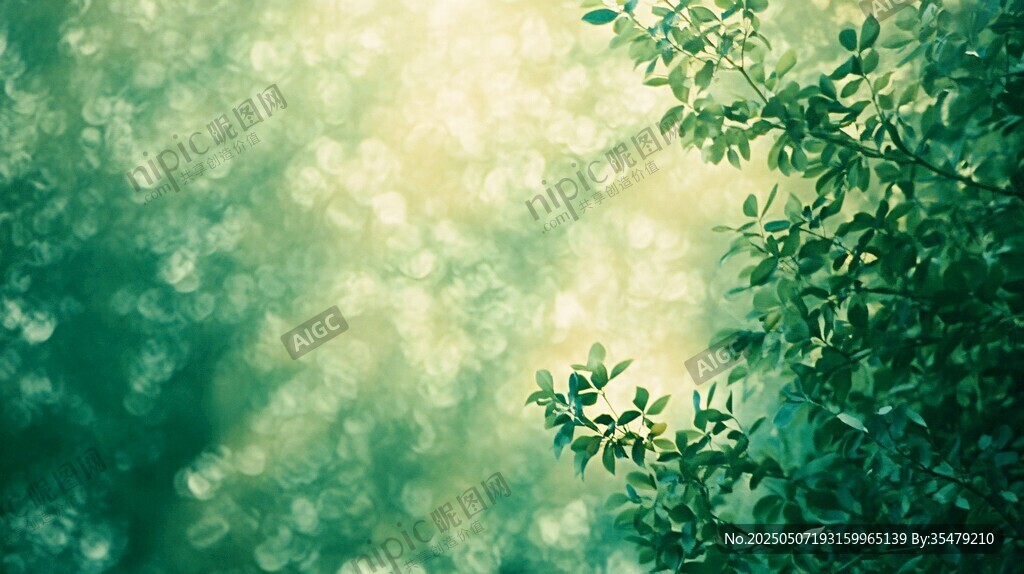 綠意盎然的清新枝葉景觀