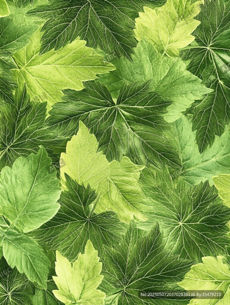 清新綠葉無縫紋理圖案