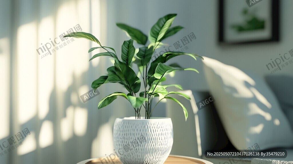 室內(nèi)綠植裝點溫馨家居角落
