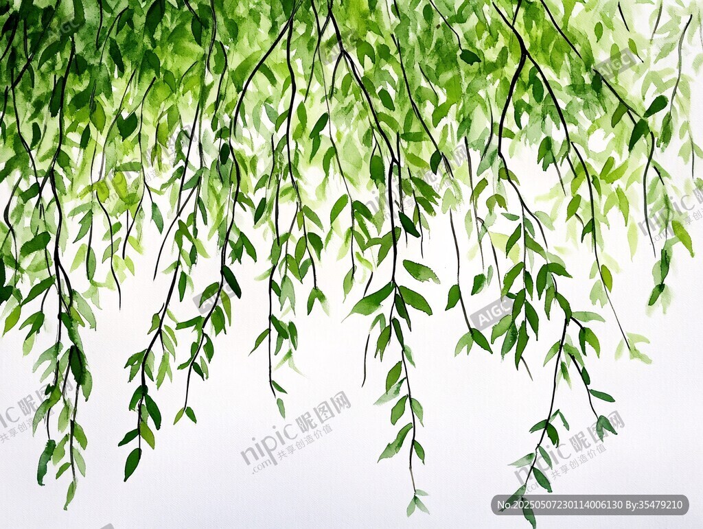垂柳搖曳的清新綠意畫面