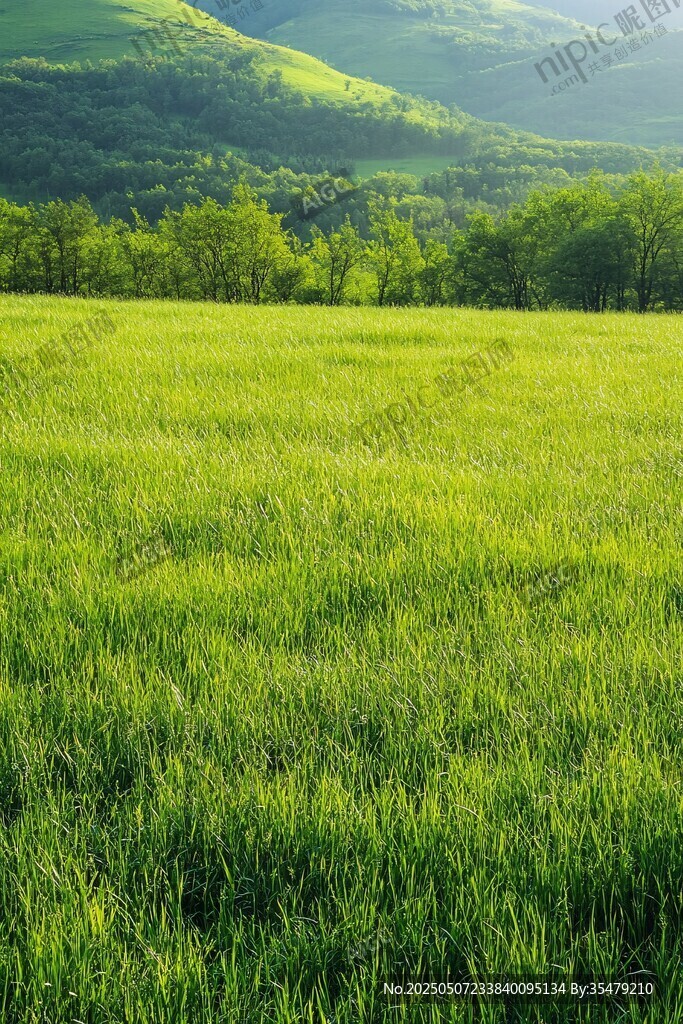 綠野青山間的自然美景