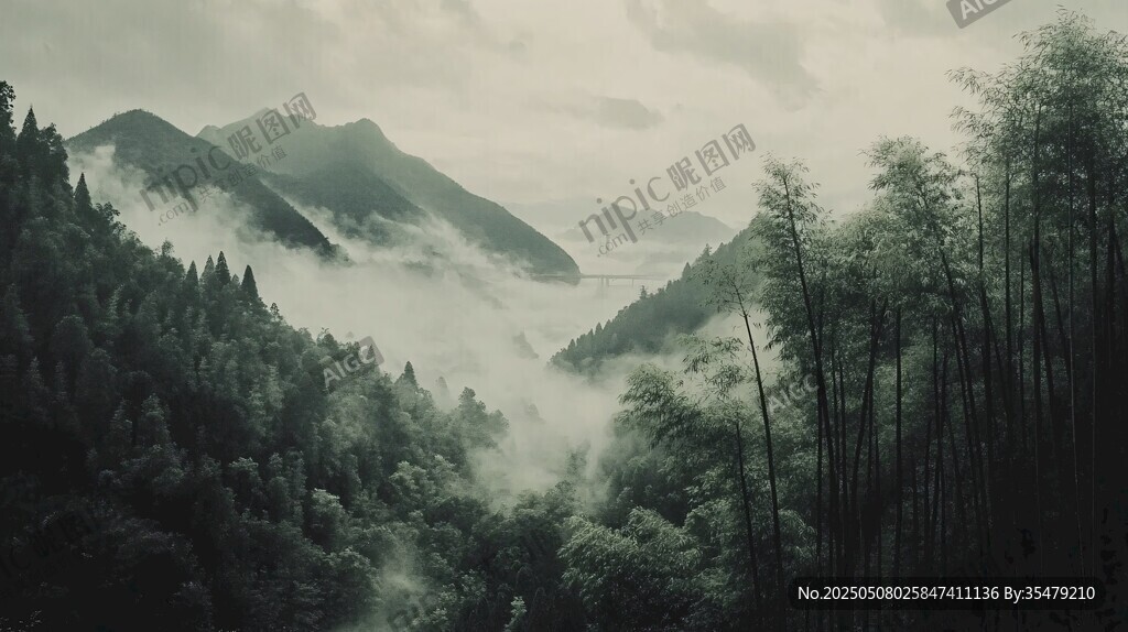 山間云霧繚繞的靜謐森林