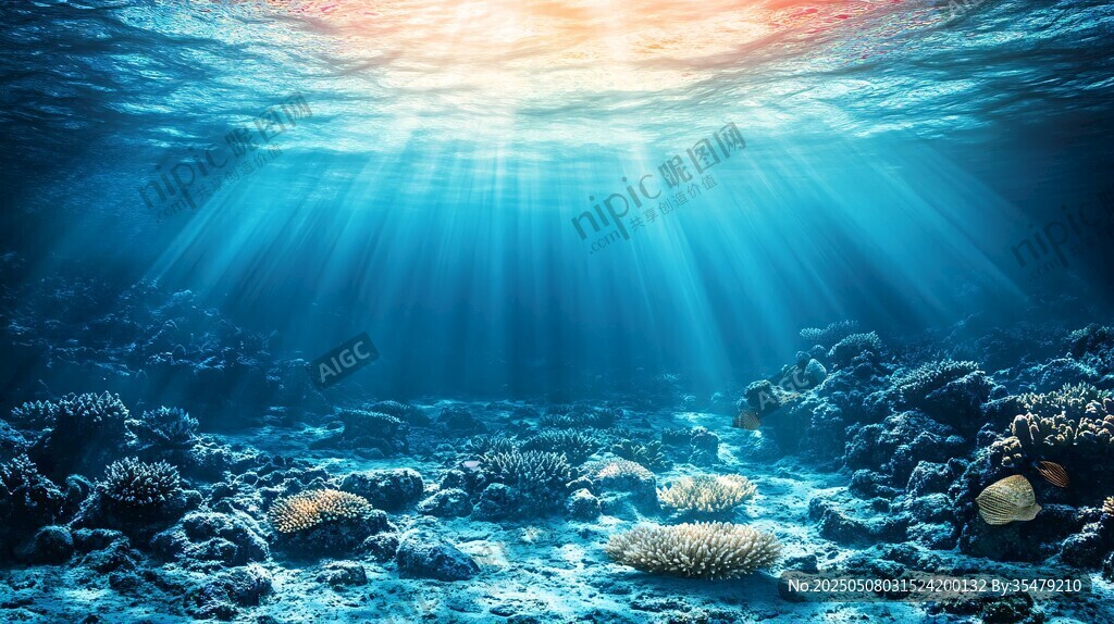 海底陽光照耀下的珊瑚世界