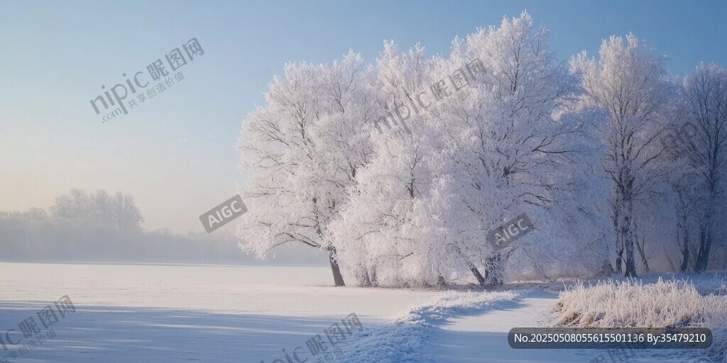 冬日雪林美景