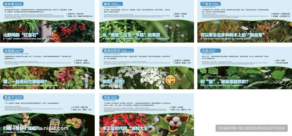戶外植物科普牌