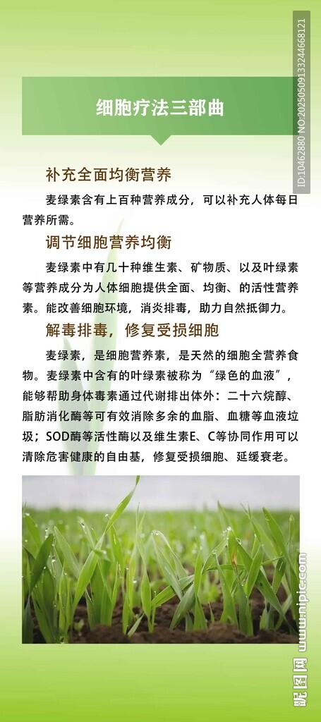 水稻種植技術要點介紹易拉寶展架