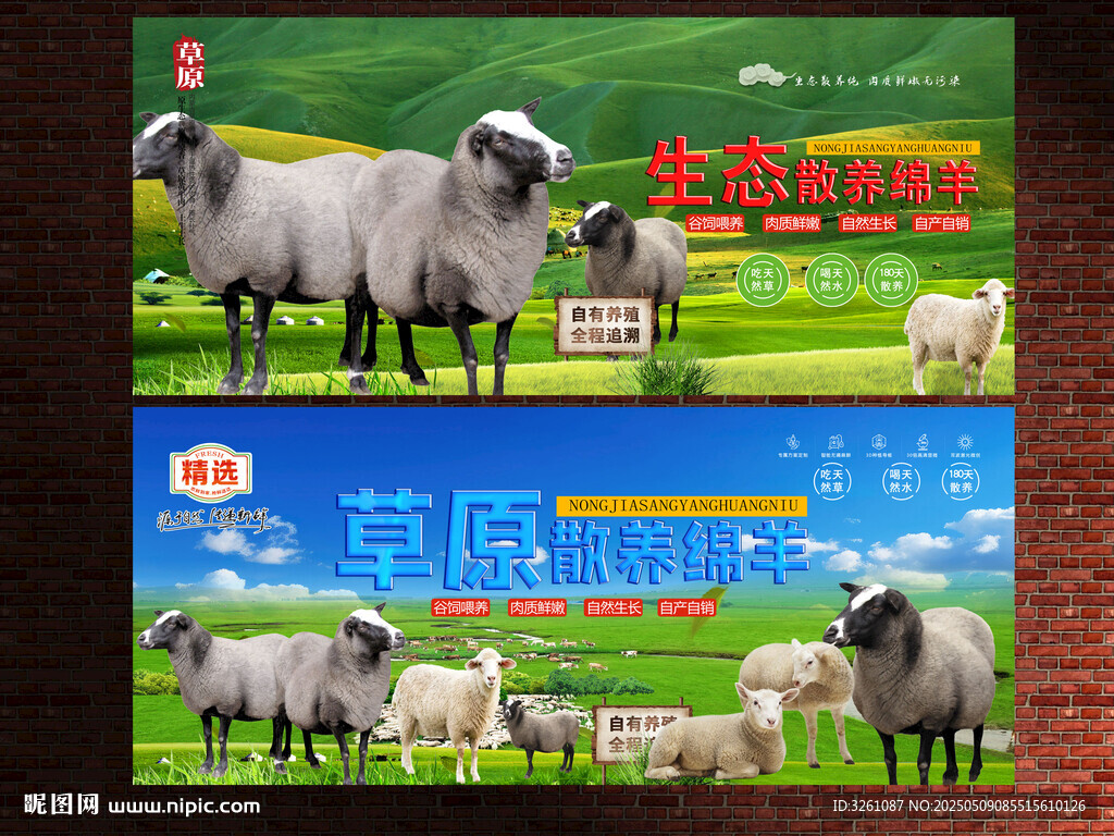 綿羊
