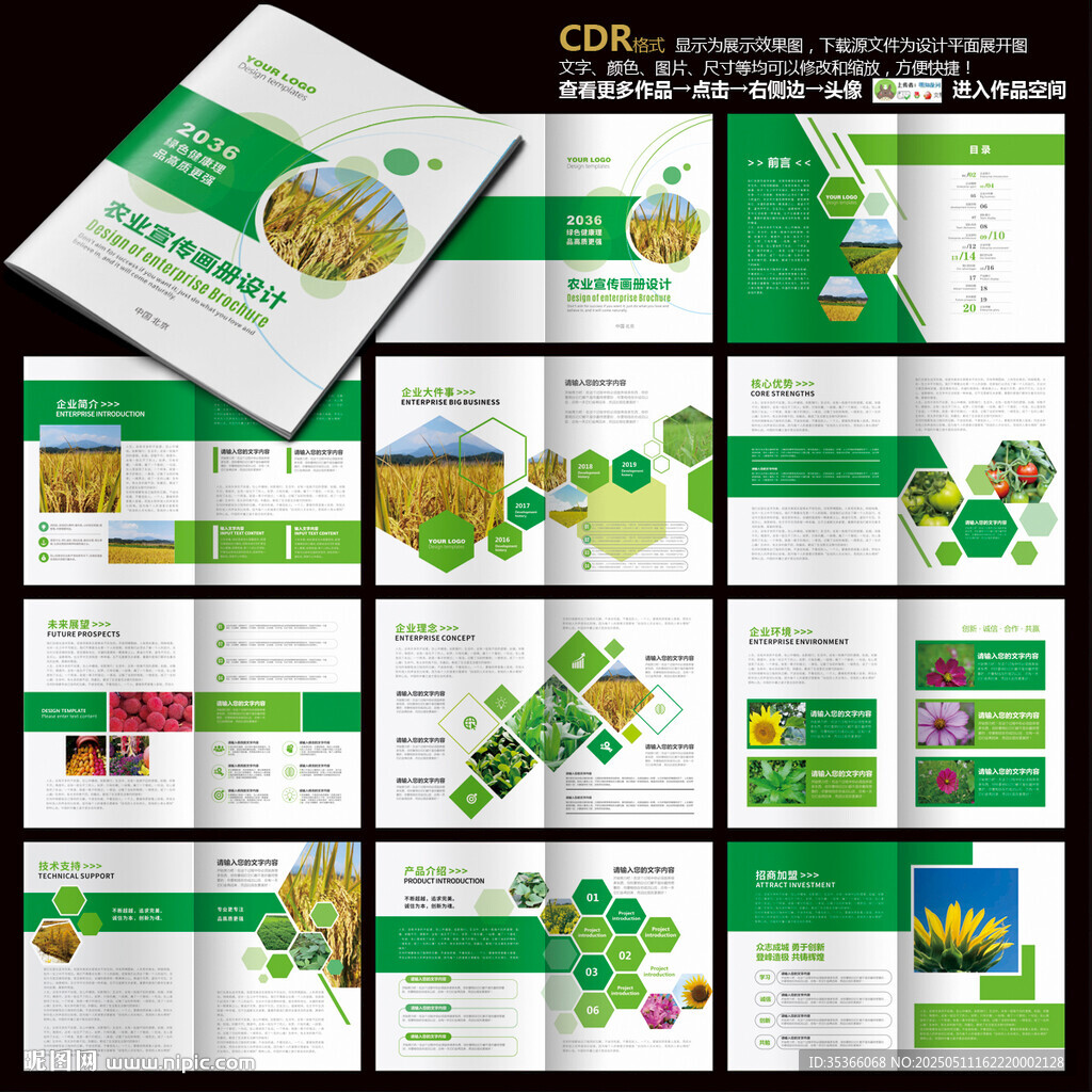 綠色畫(huà)冊(cè)