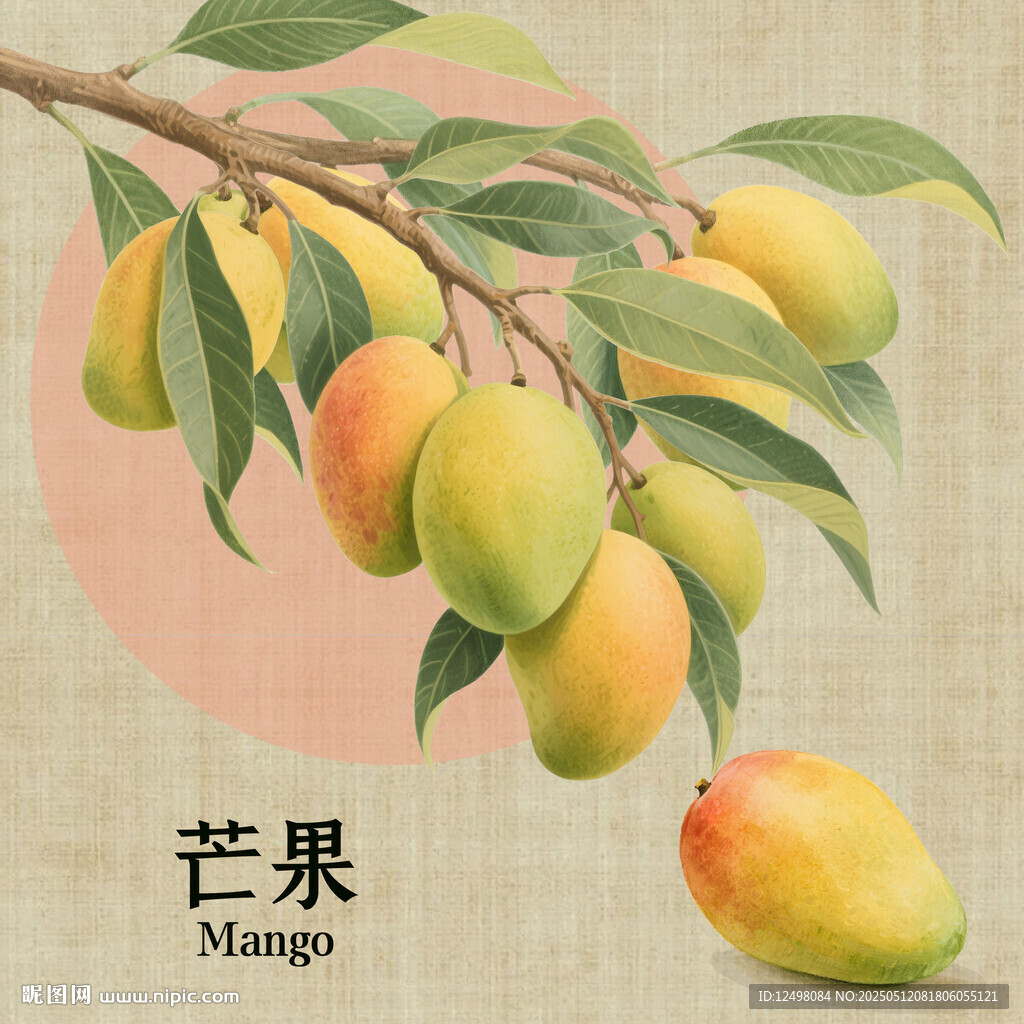 手繪芒果