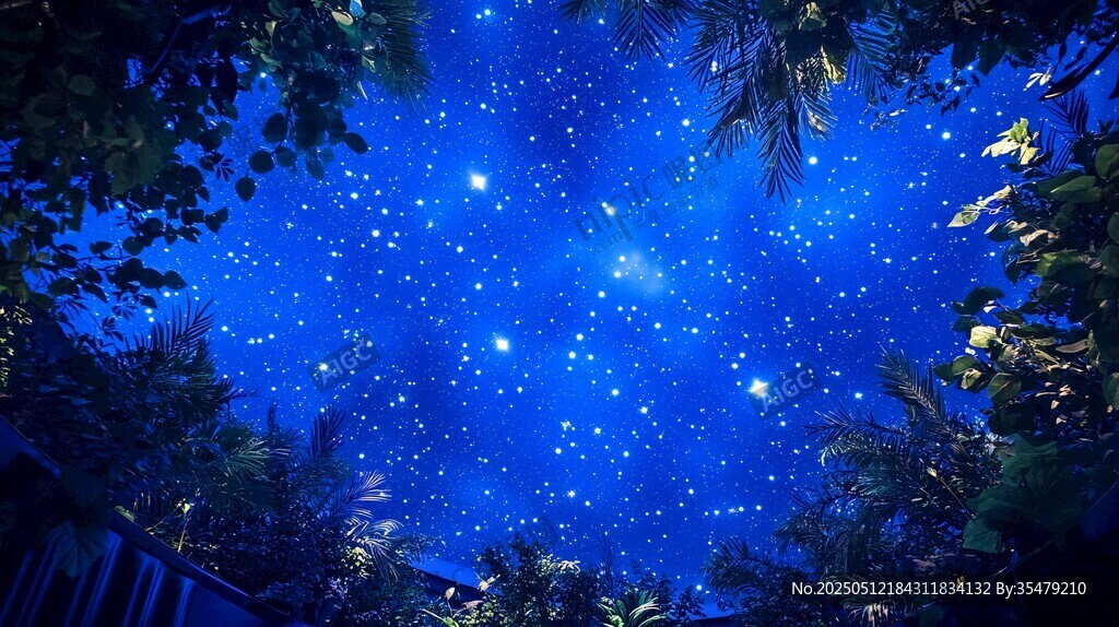 夢幻星空下的繁茂綠植