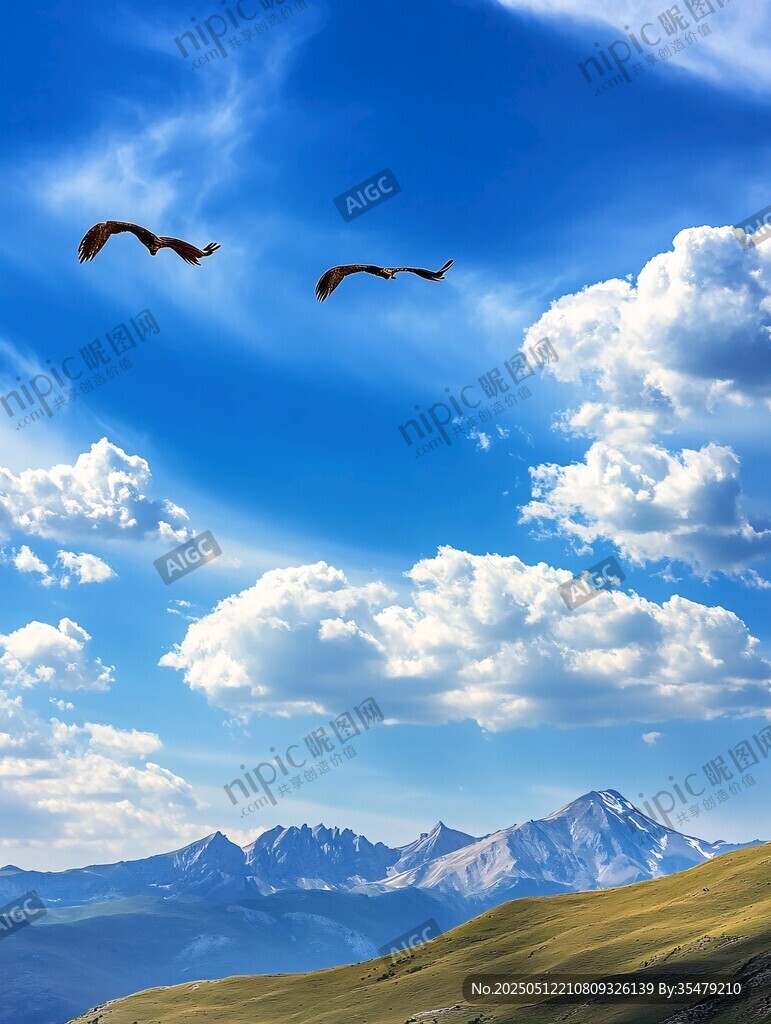藍天飛鳥與遠山美景