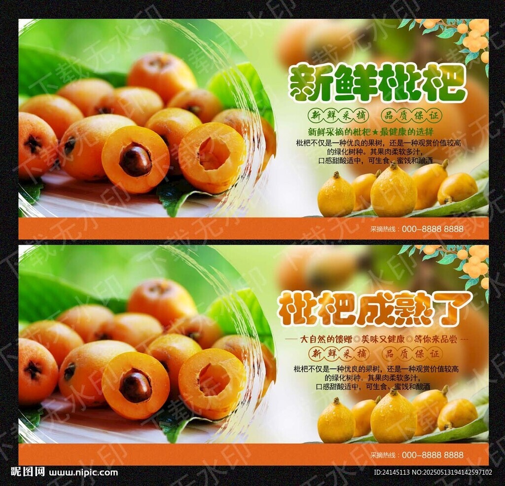 枇杷