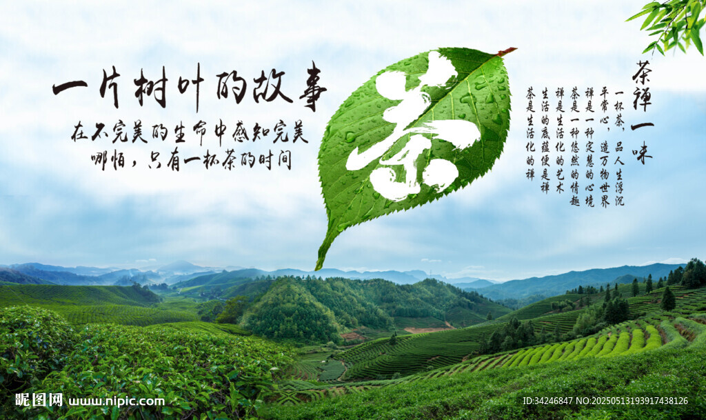 茶園禪茶一味背景墻