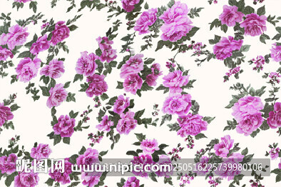 玫瑰花