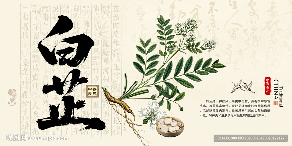 白芷